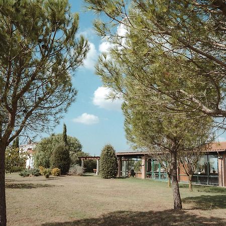 Be Your Home - Casale Grano E Tabacco Canino Exterior foto